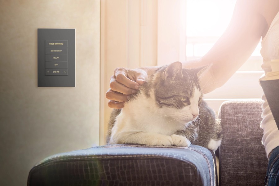 Cat sitting on the arm of a couch in front of a Crestron Home on-wall keypad.